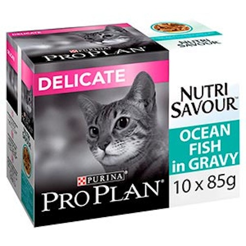 The best cat food for better digestion and sensitive stomachs Home